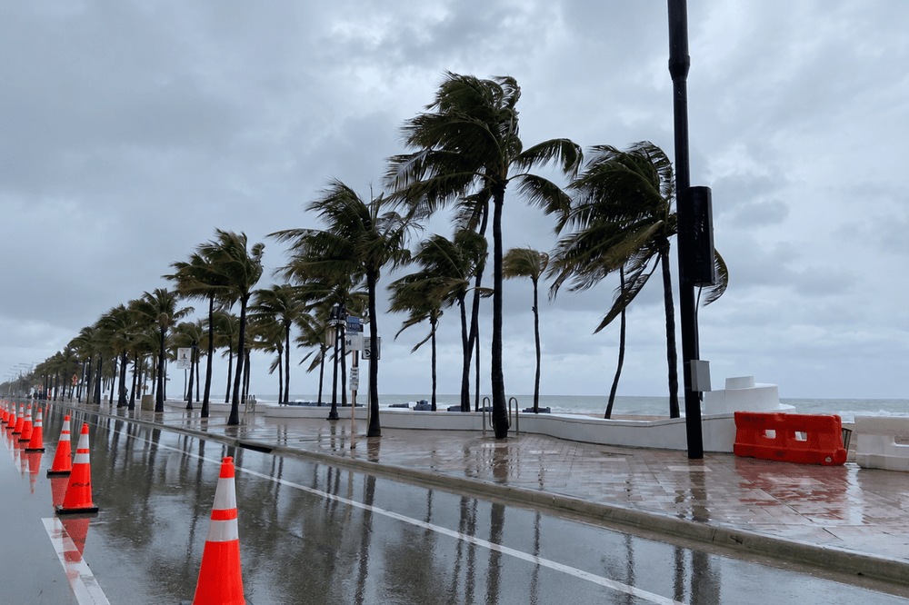 The Rainiest Cities in the USA: Where It Rains the Most