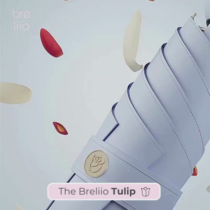 Breliio Tulip